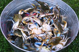 Alquiler Vacacional - PVT PENINSULA! Hot tub, beach, spectacular views w/huge kitchen!Sleeps up to 21