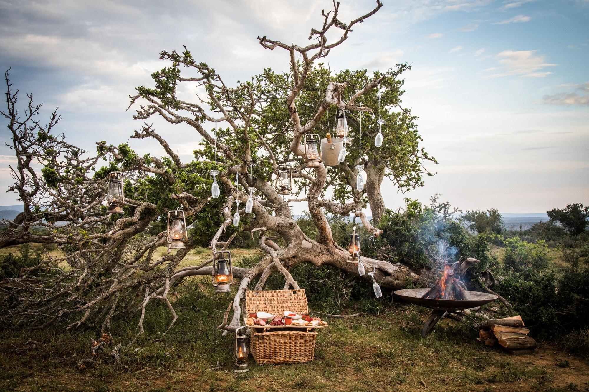 Restaurant Kwandwe Great Fish River Lodge