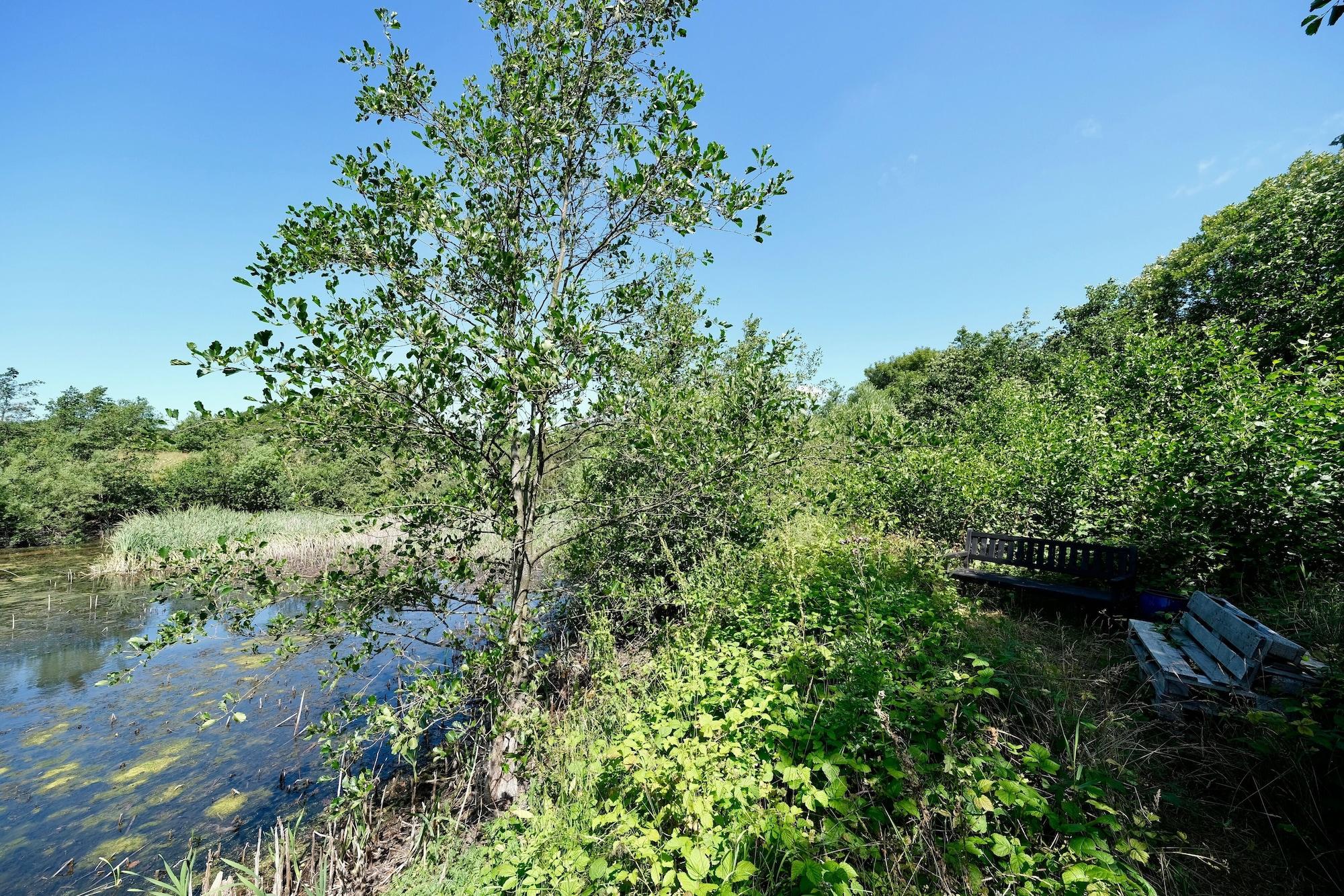Vista Exterior Hotel Årslev Kro