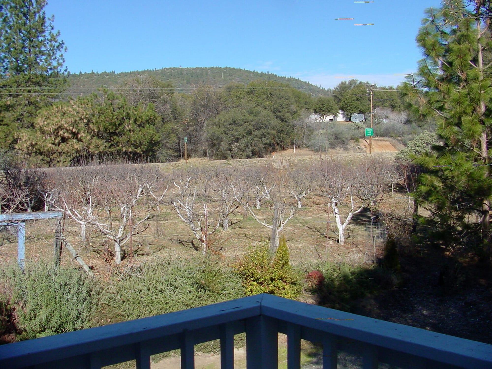 Comodidades del Alojamiento Apple Blossom Inn