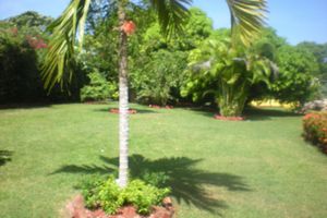 Alojamiento - Villa Sonate
