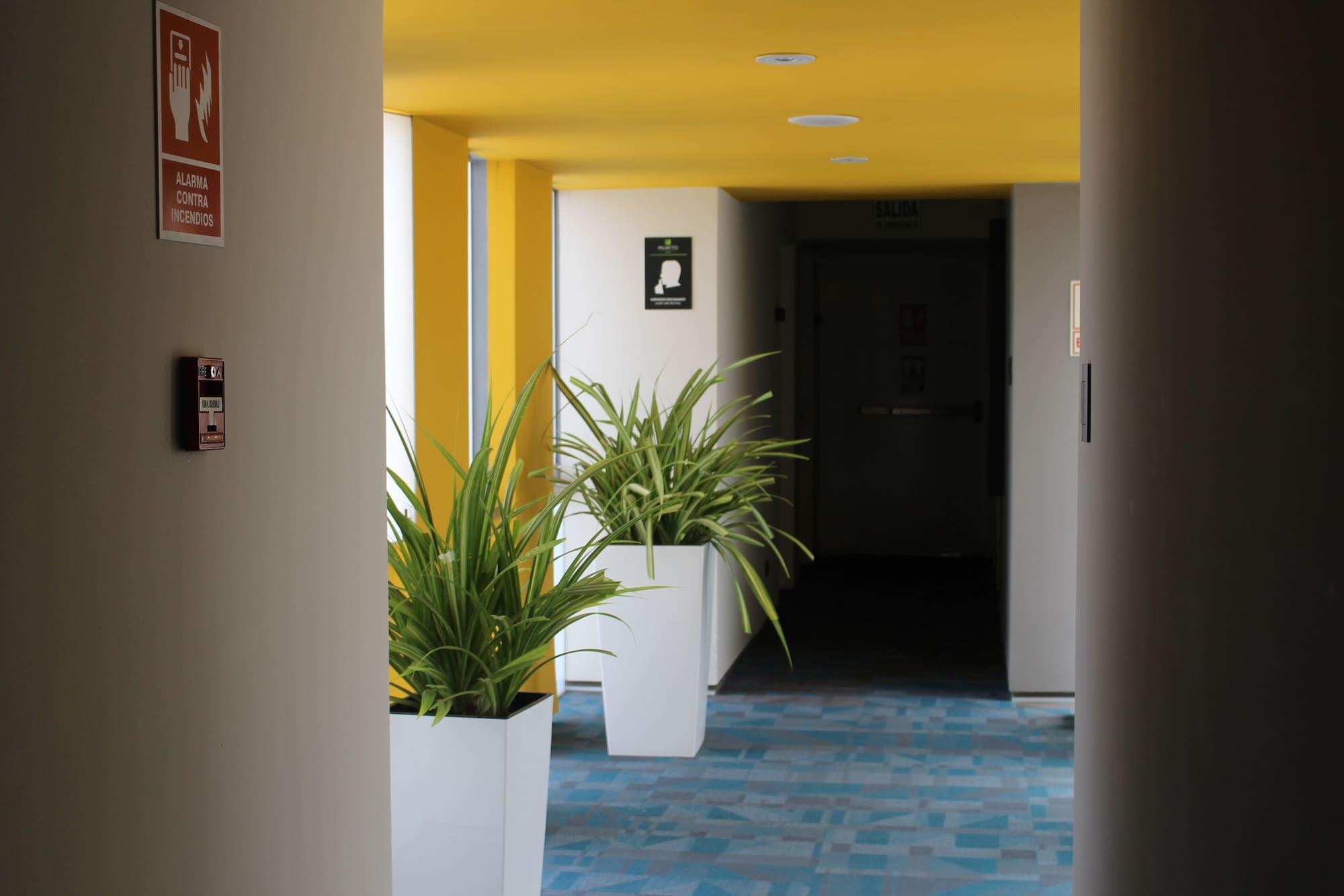 Vista Lobby Palmetto Hotel Business San Borja