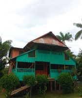 Alojamiento - Hostal Búho Amazonas Tours - Hostel