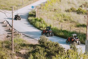 Actividad - Aventura en Buggy Tour desde Playa den Bossa -  Tour de medio día