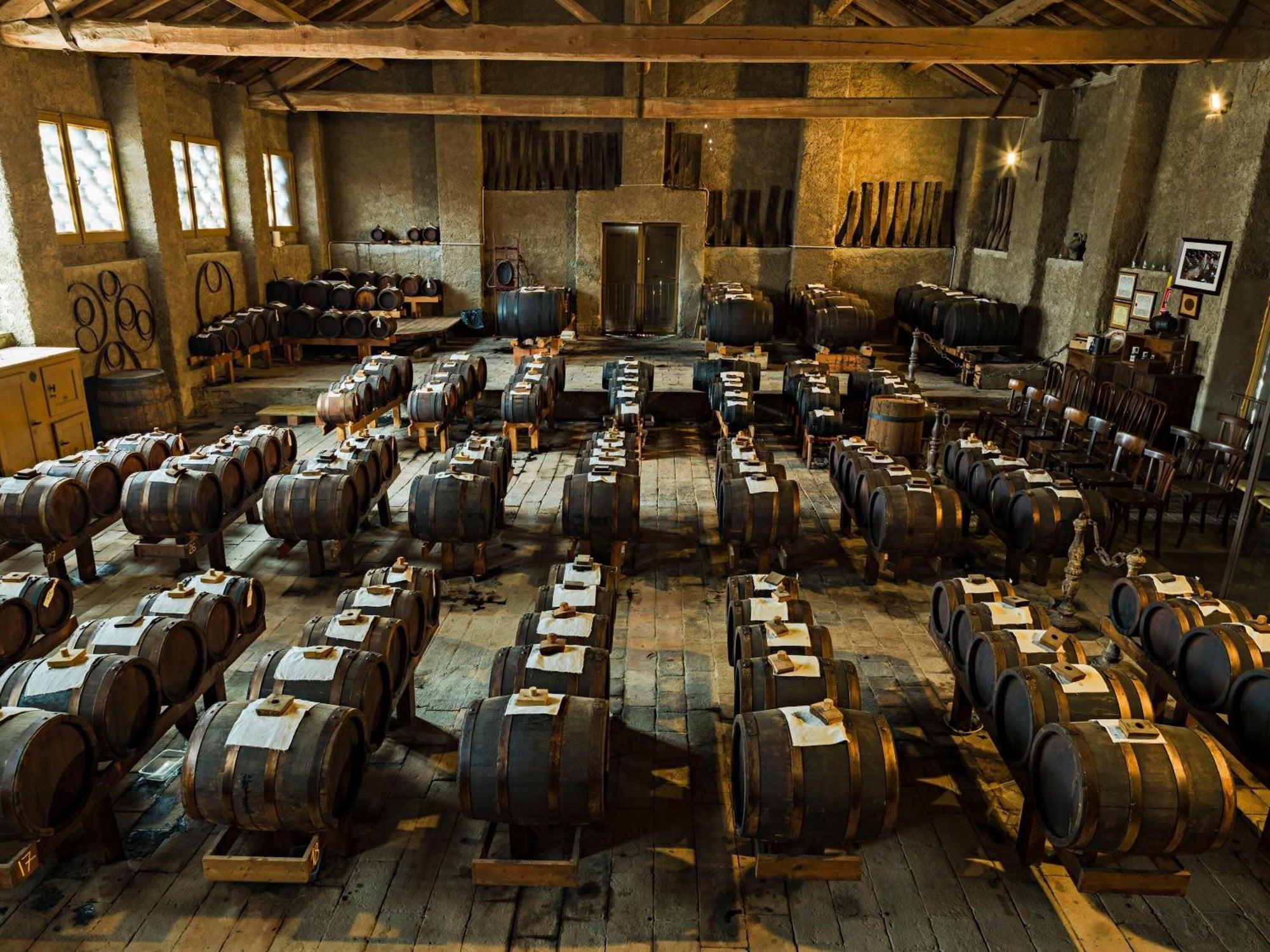 Sala de Reuniones Cavazzone