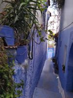 Alojamiento - Casa Blue Star