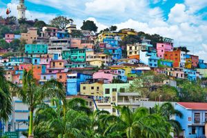 Vuelo - Vuelos a Guayaquil
