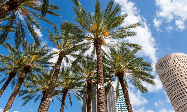 Northwest Tampa
