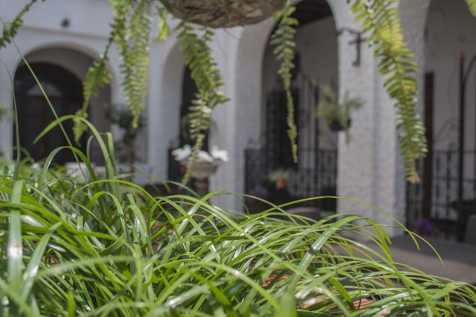 Comodidades del Alojamiento Hotel Ajau Colonial