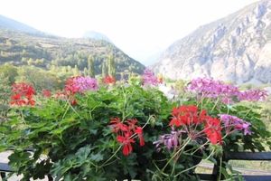 Alquiler Vacacional - Miguelo apartments for 4 people