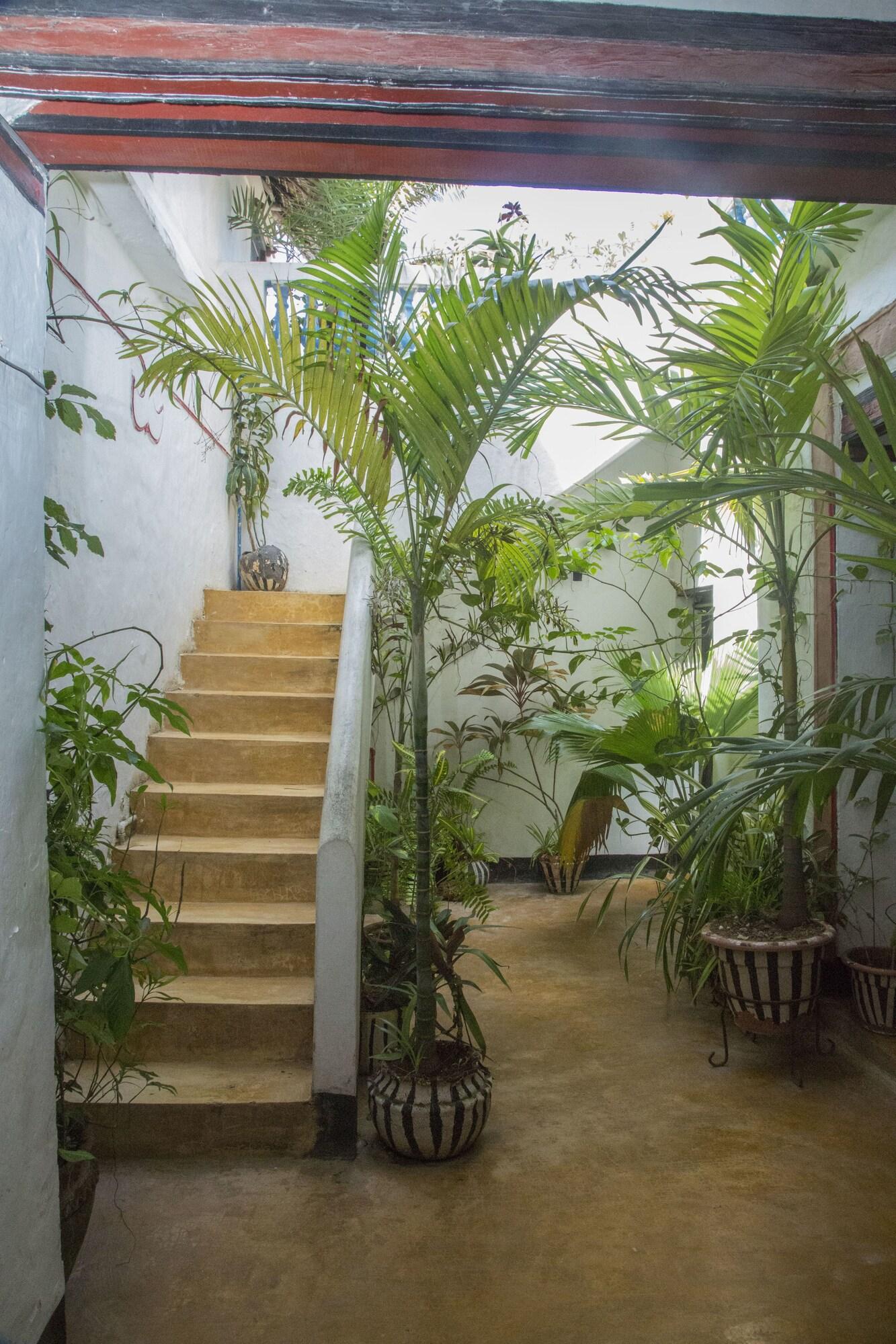 Vista Exterior Pwani Guest House