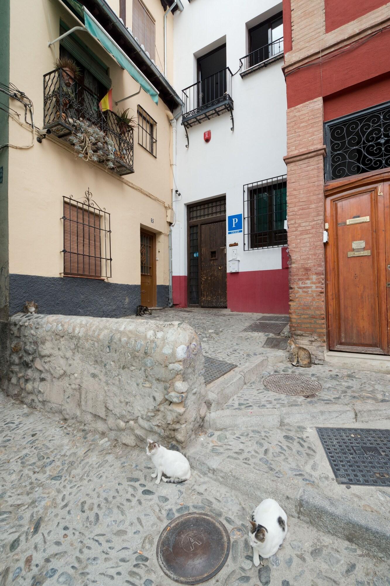 Vista Exterior Oasis Backpackers Hostel Granada