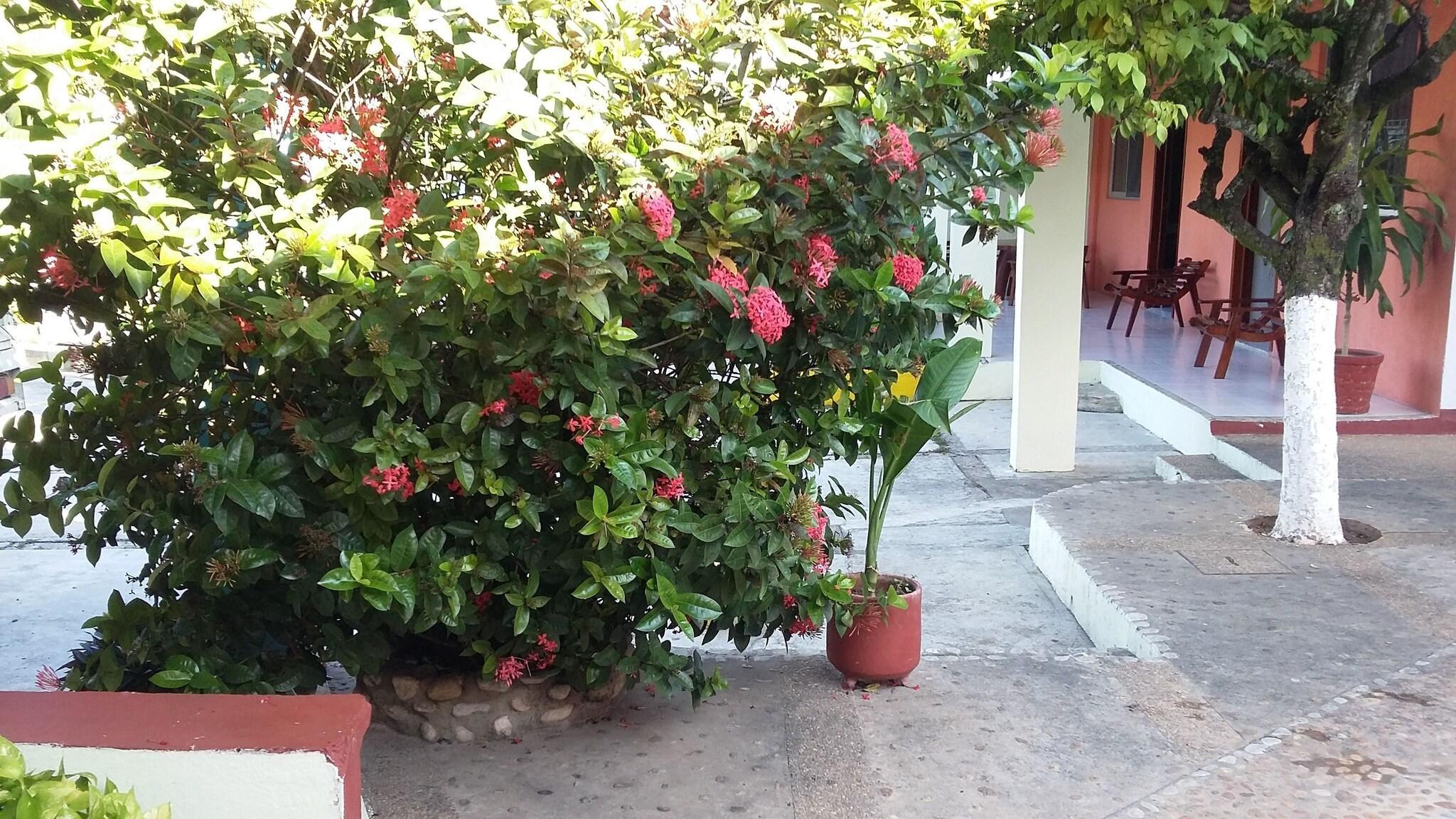 Vista Lobby Hotel Mallorca