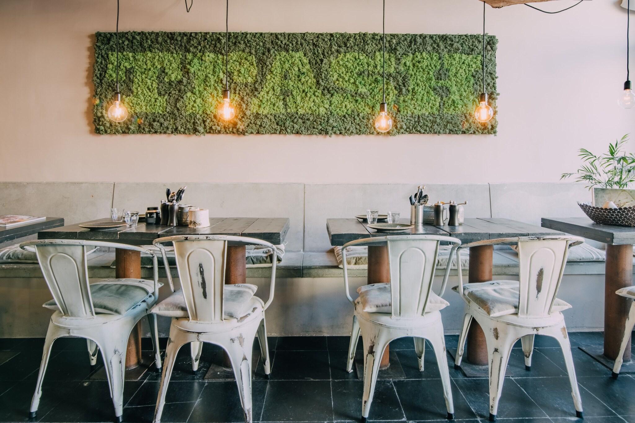 Vista Lobby Trash Deluxe