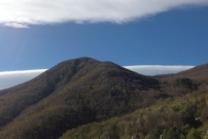 Alquiler Vacacional - Castagno apartment