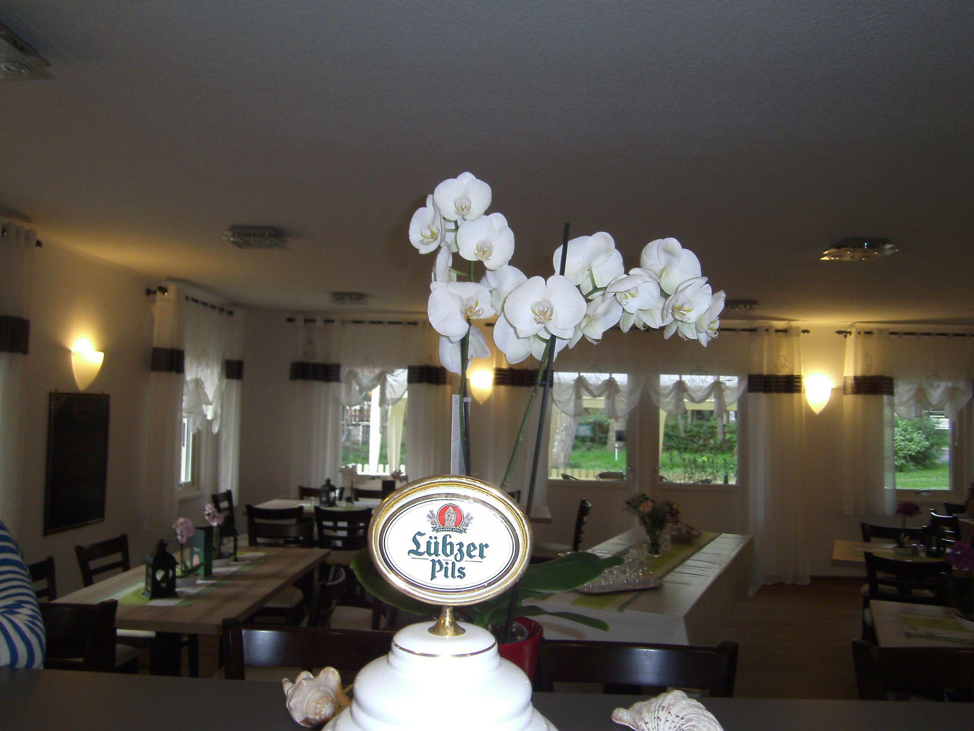 Bar/Salón Landhotel Zum Kranich
