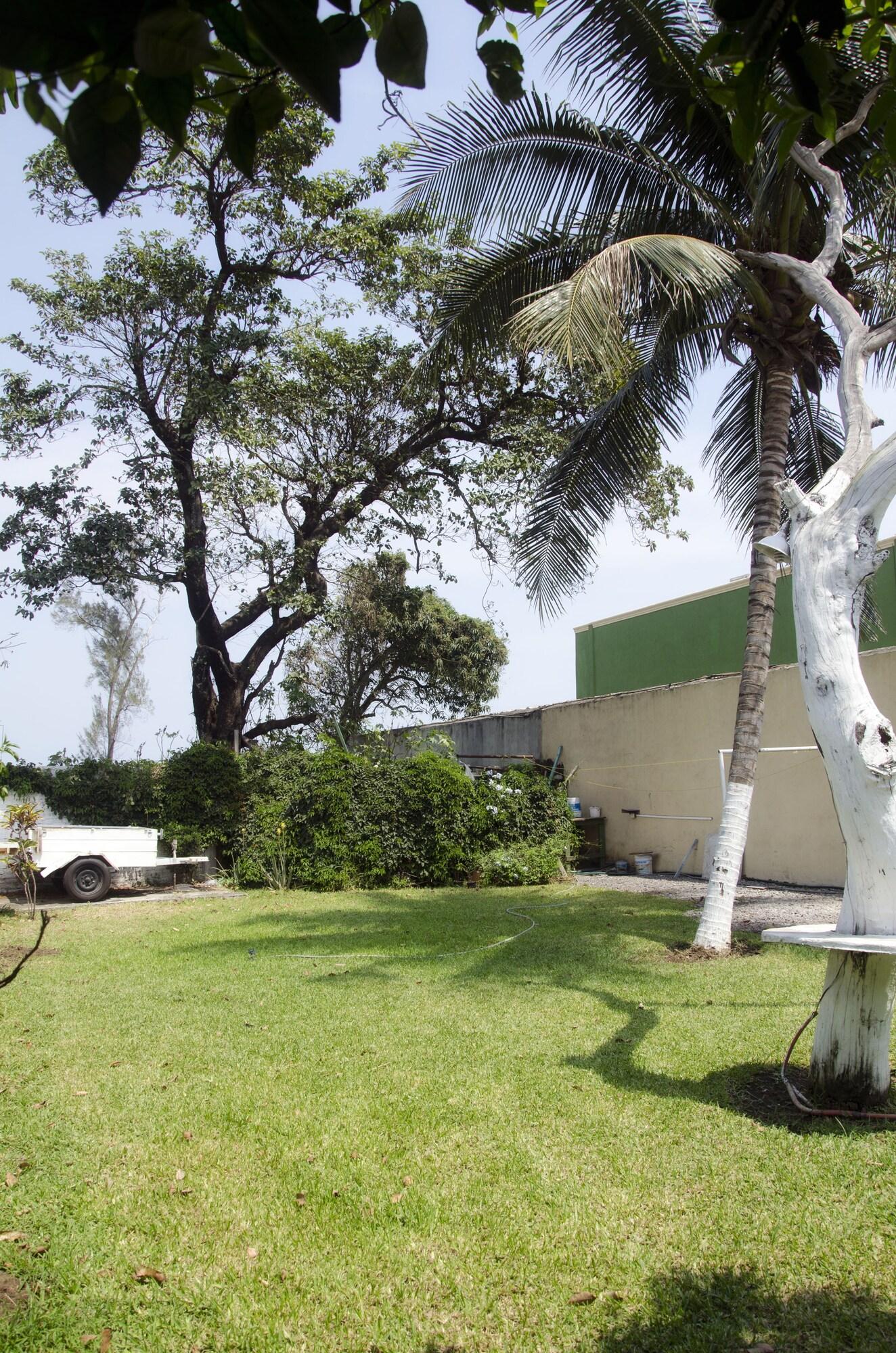 Habitación Palmera Suites