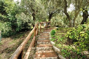 Alojamiento - B&B La Torretta