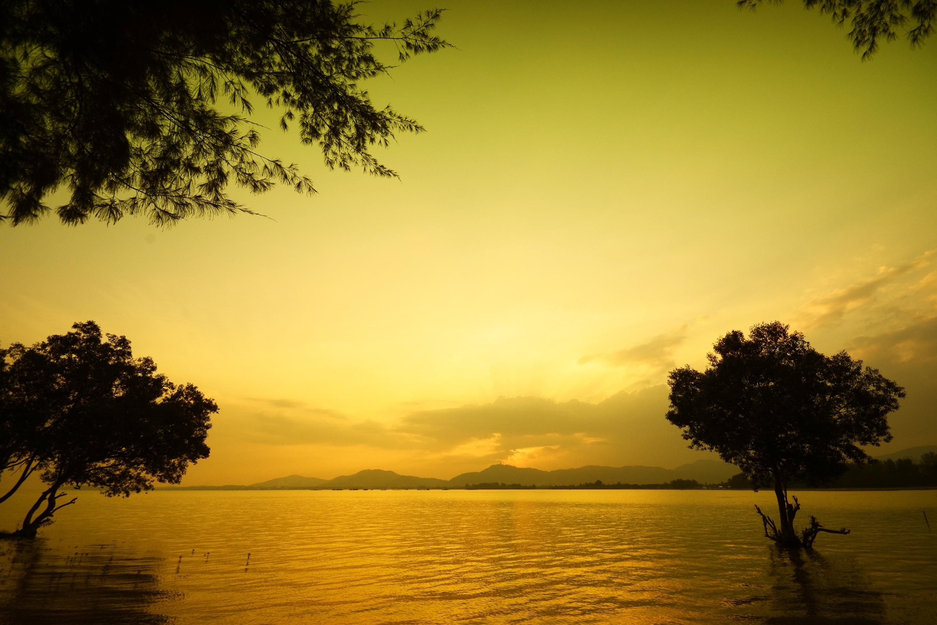 Playa The Mangrove Panwa Phuket Resort