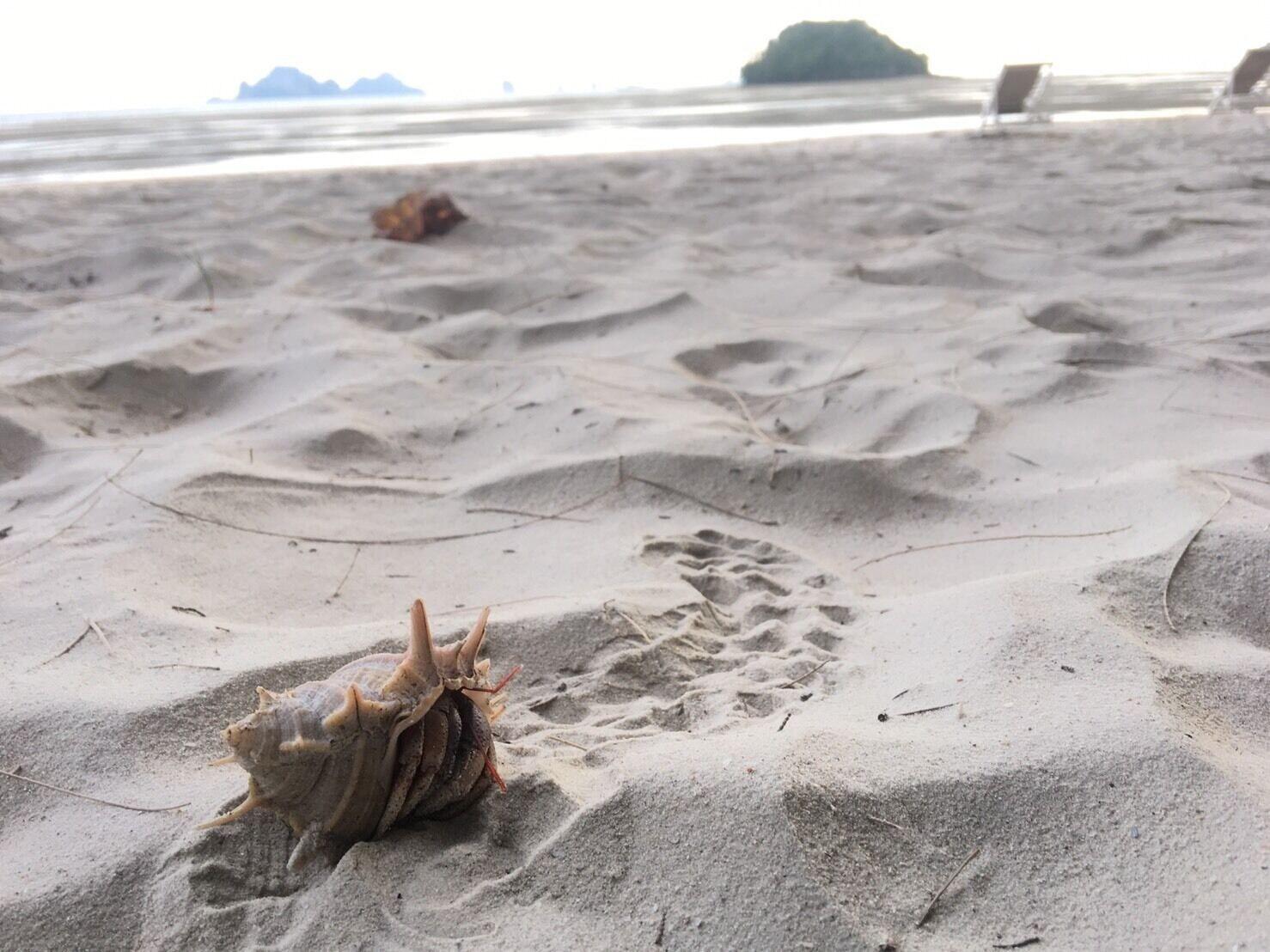 Instalaciones Recreativas PAN Beachfront Resort Krabi