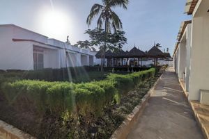 Alojamiento - Mafia dream hotel