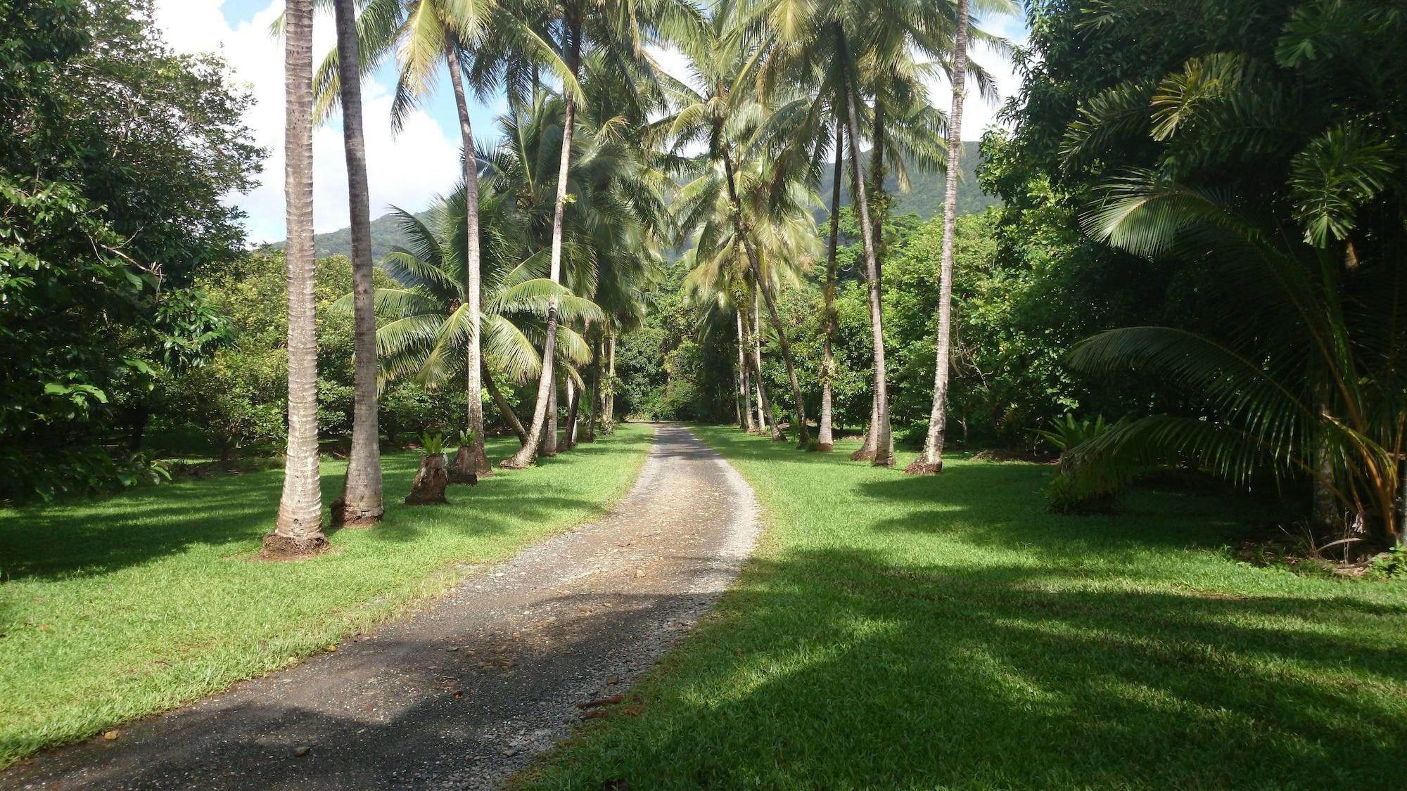 Vista Exterior Cape Trib Farmstay