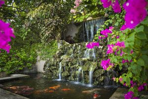 Alojamiento - Polkerris Bed & Breakfast