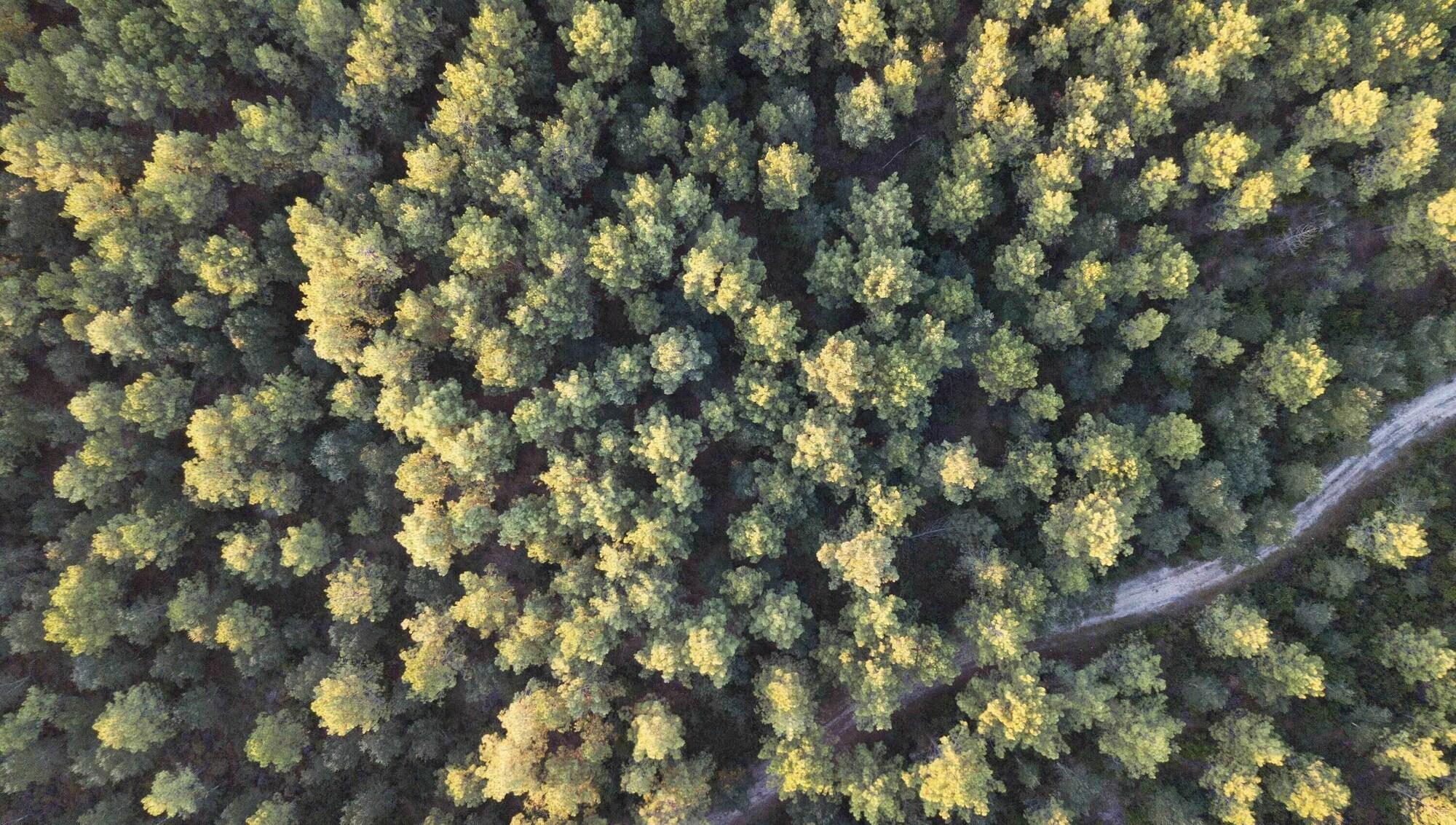 Instalaciones Recreativas La Maison de la Prade