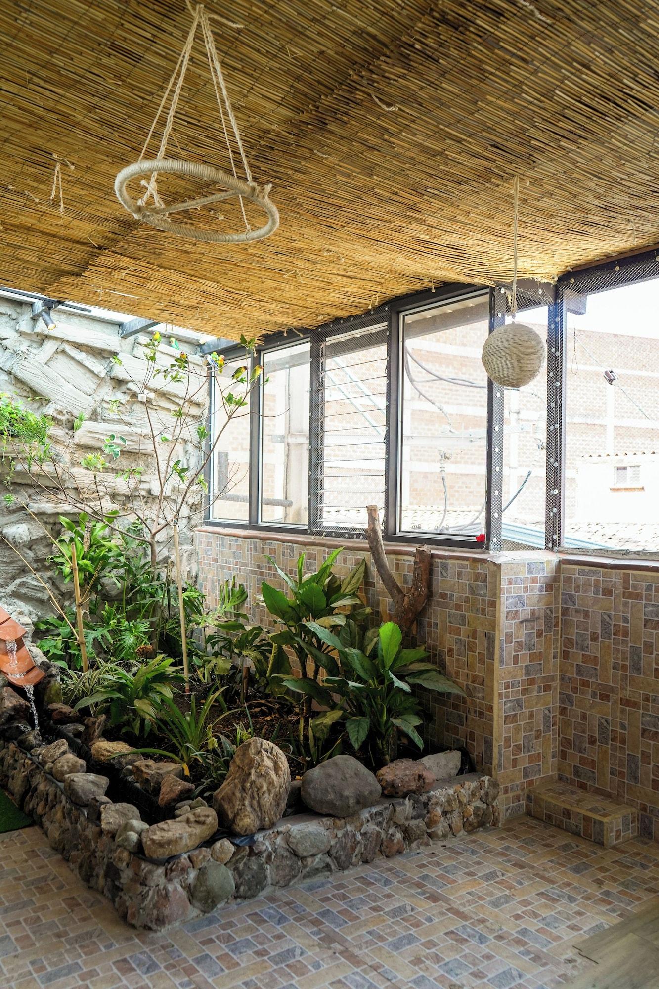 Comodidades del Alojamiento Hostal Corazón verde
