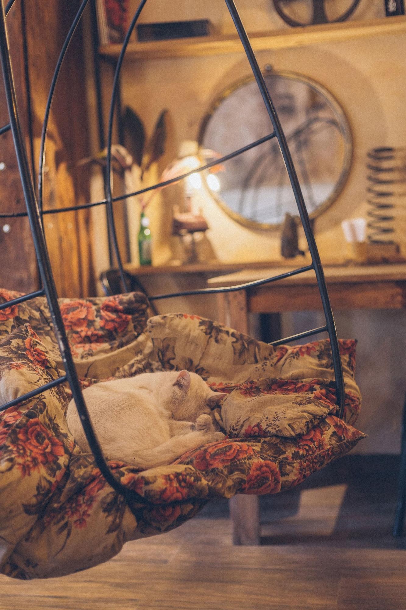 Vista Lobby Hostel Pura Vida Mae