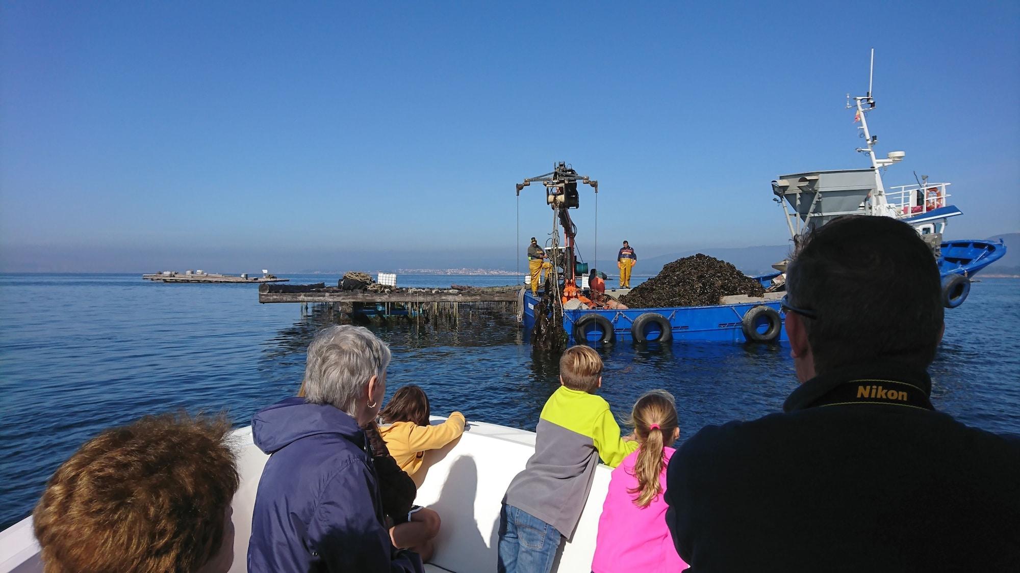 Varios Quinta de San Amaro