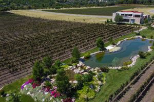 Actividad - Tour a 1 Viñedo en San Miguel con Sommelier