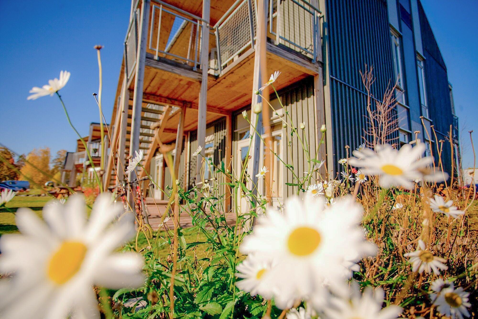 Vista Exterior Vikingskipet Hamar Hostel & Apartments