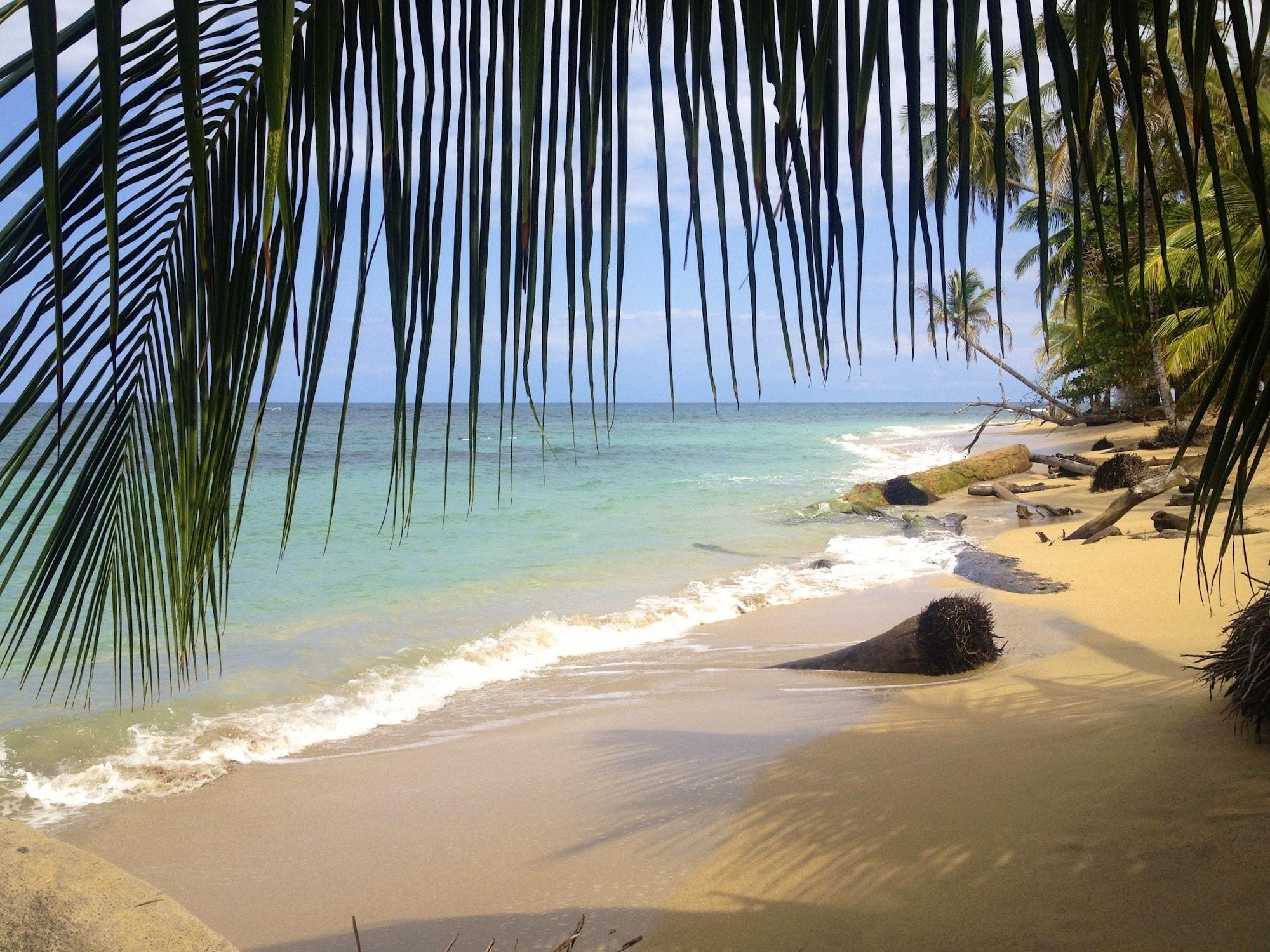 Playa Physis Caribbean Bed & Breakfast