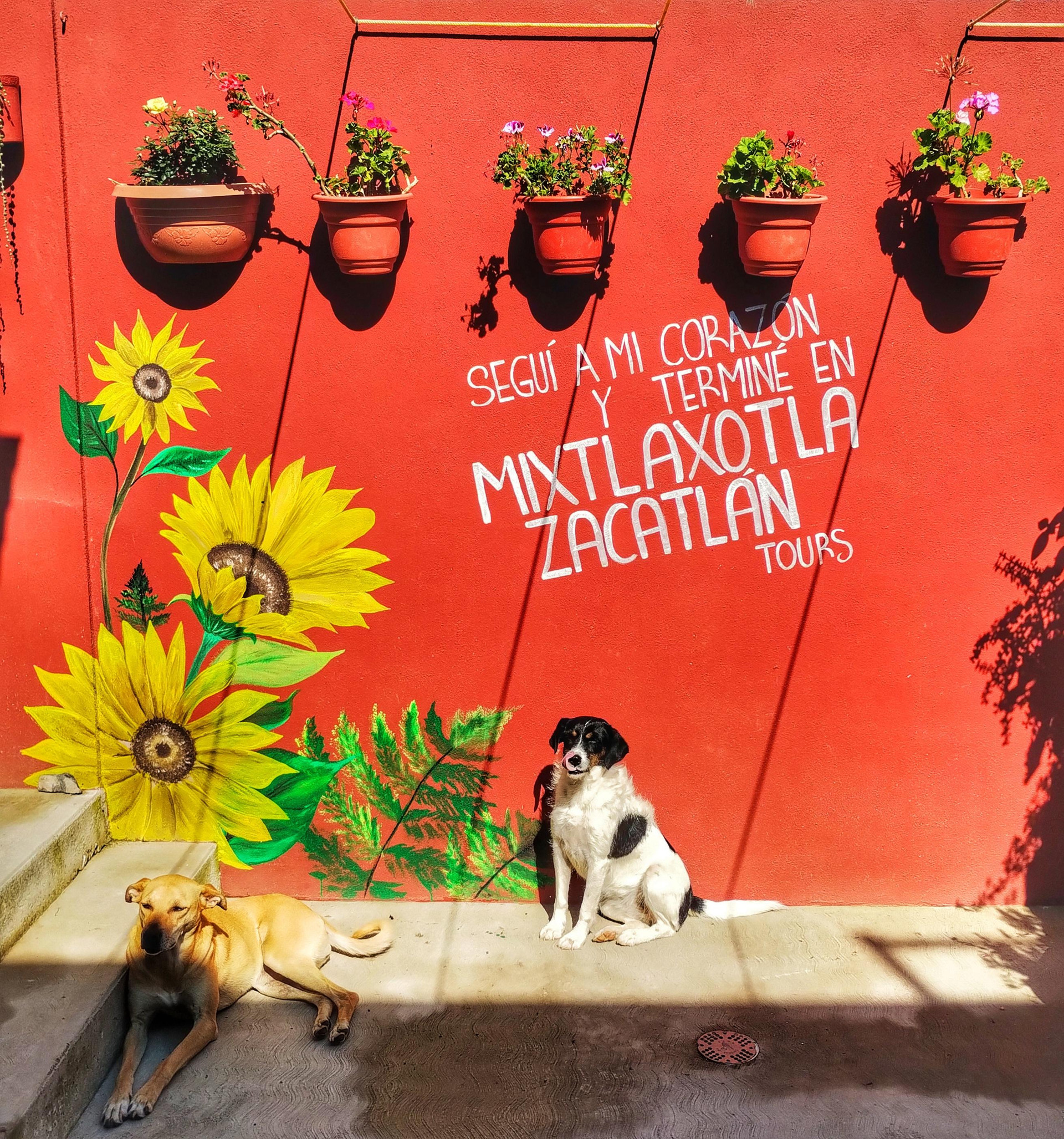 Balcón, patio o terraza Mixtlaxotla Zacatlán Tours METZTLI