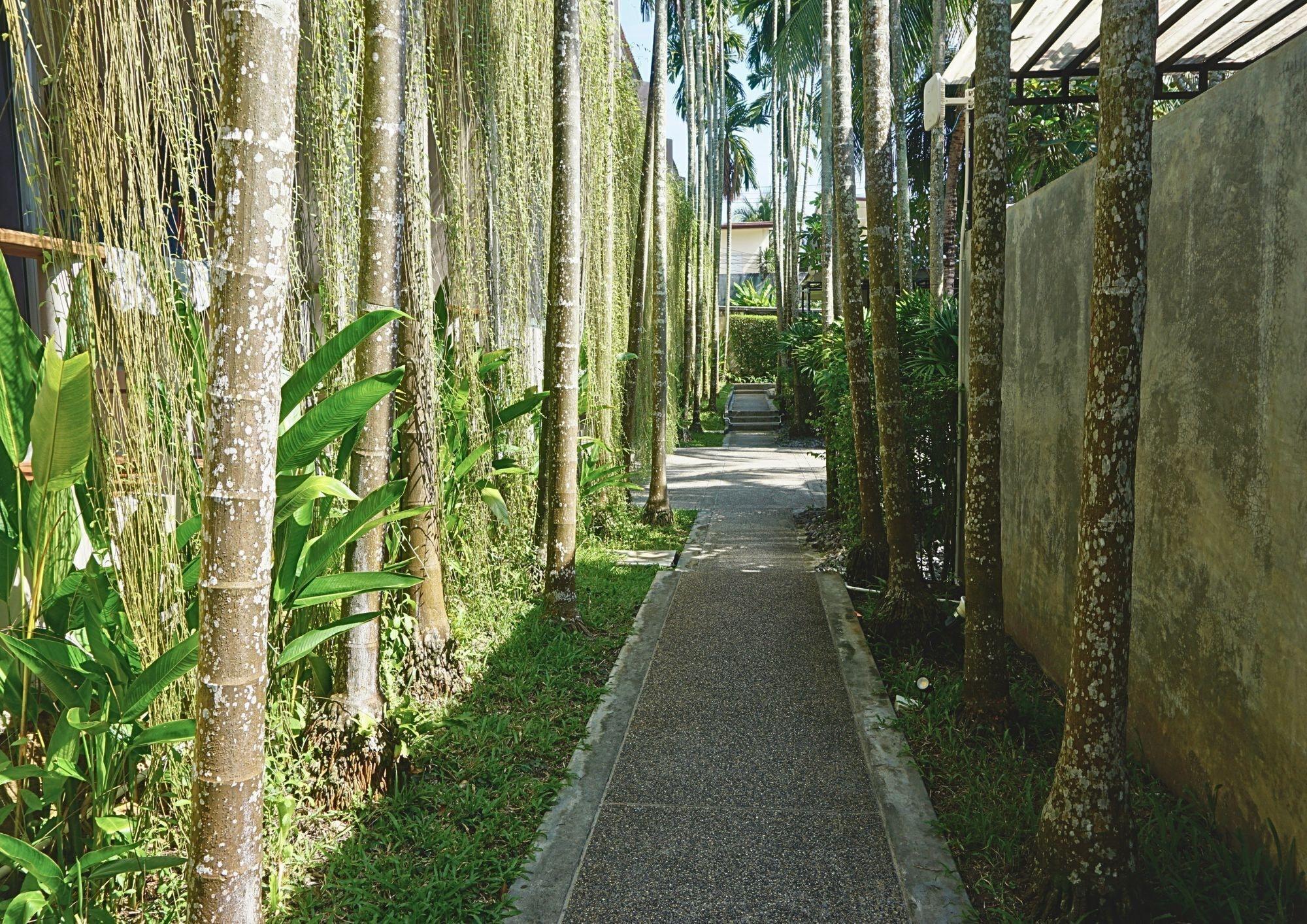 Equipamiento de Habitación Signature Phuket Resort