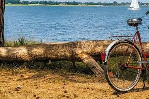 Alquiler Temporario - The Magic of the Baltic Sea at Ludwigsburg Palace – Experience Nature, the Sea, and Culture