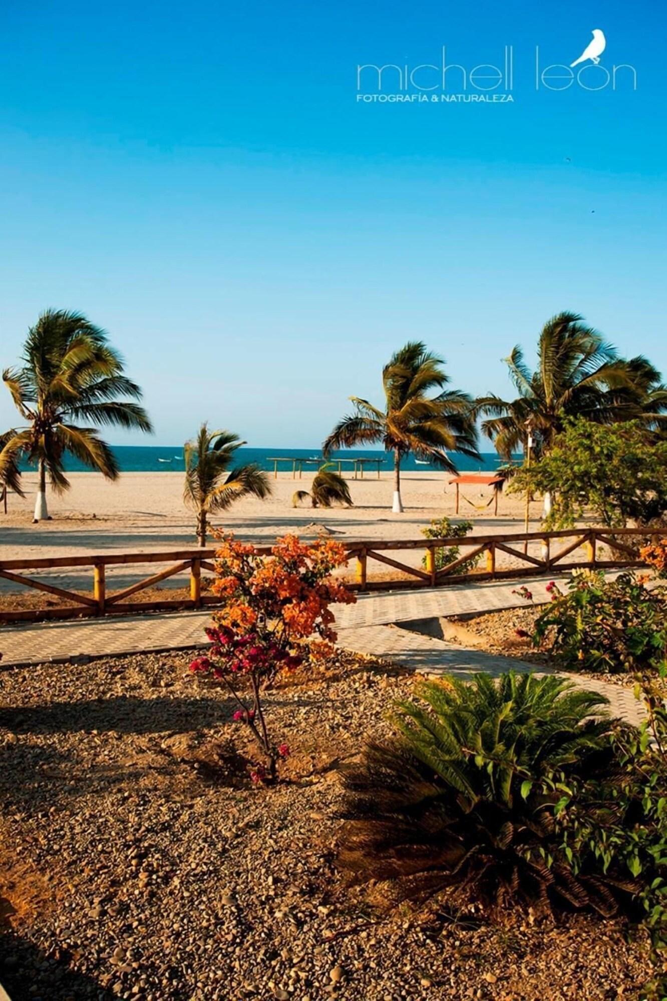 Playa Amotape