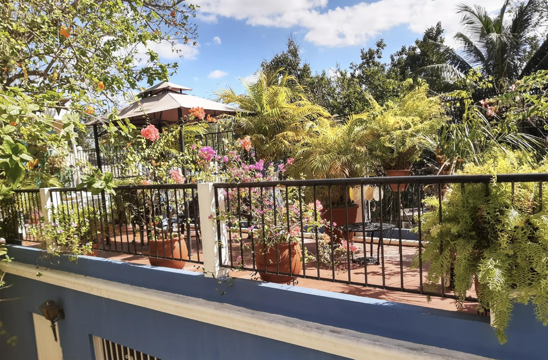 Balcón, patio o terraza Hotel Palacio Cantón Valladolid