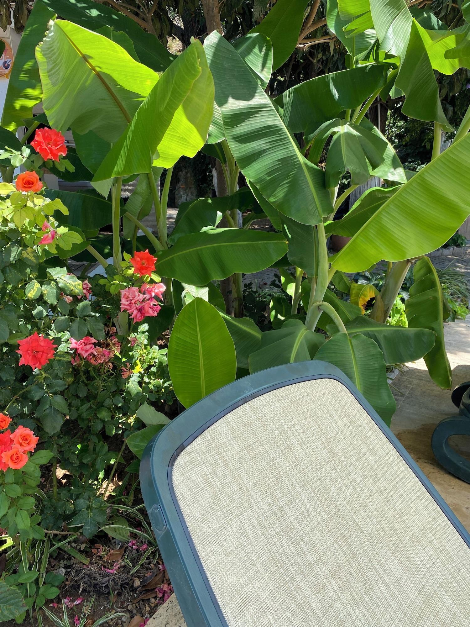 Vista Exterior Ford Hotel - Special Class