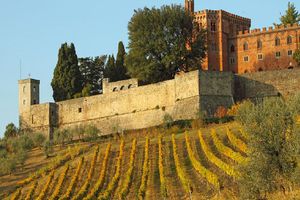 Actividad - San Gimignano, Chianti y Montalcino - Tour de día entero en grupo reducido