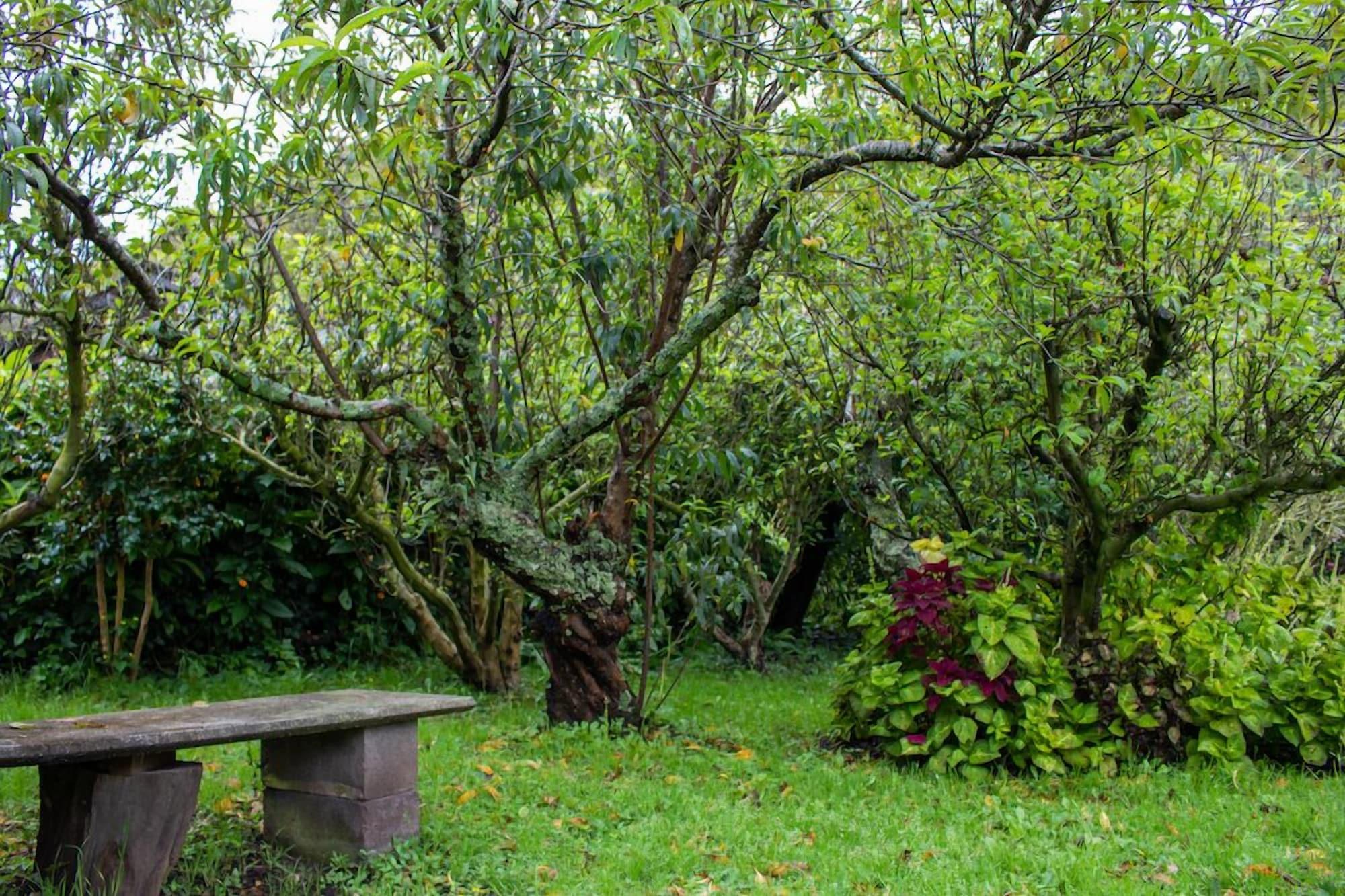 Comodidades del Alojamiento Cabinas las Manzanas Bed y Breakfast