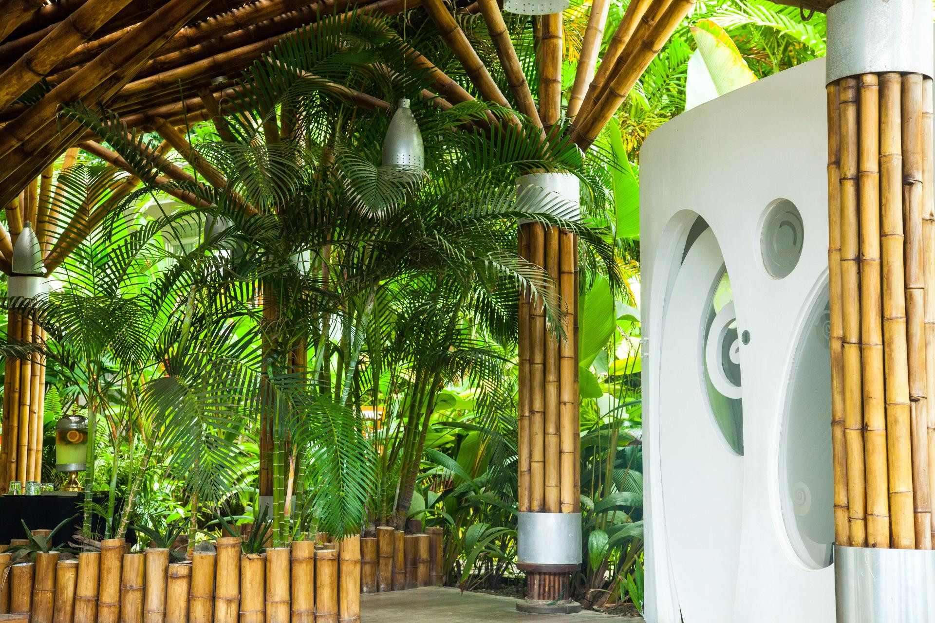 Vista Exterior Le Cameleon Puerto Viejo