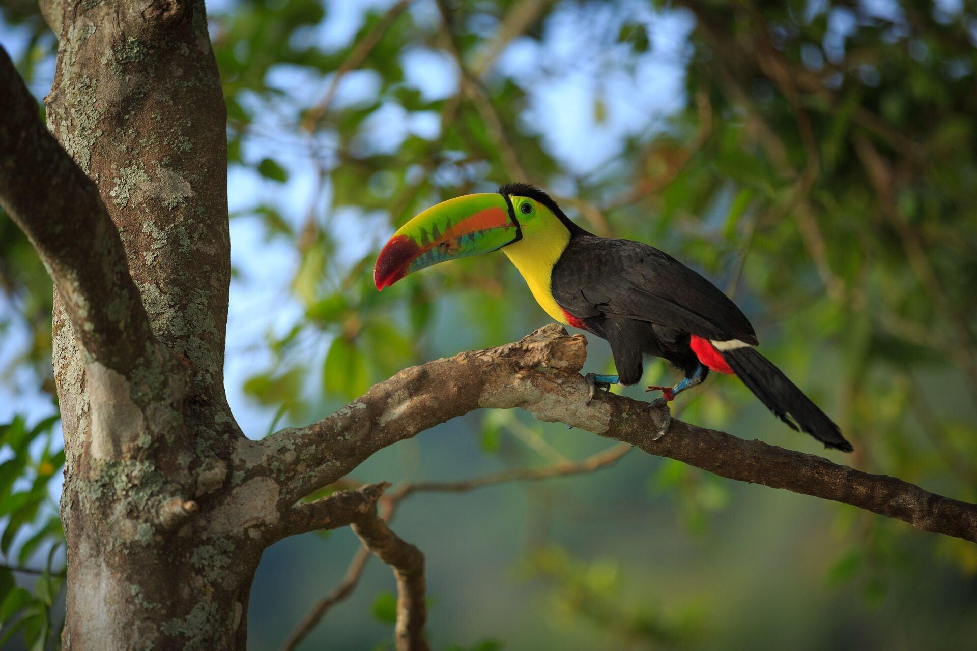 Vista Exterior Mundo Nuevo Eco Lodge