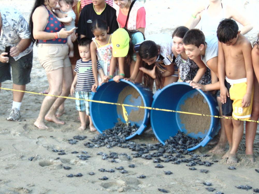 Playa Roberto's Bistro