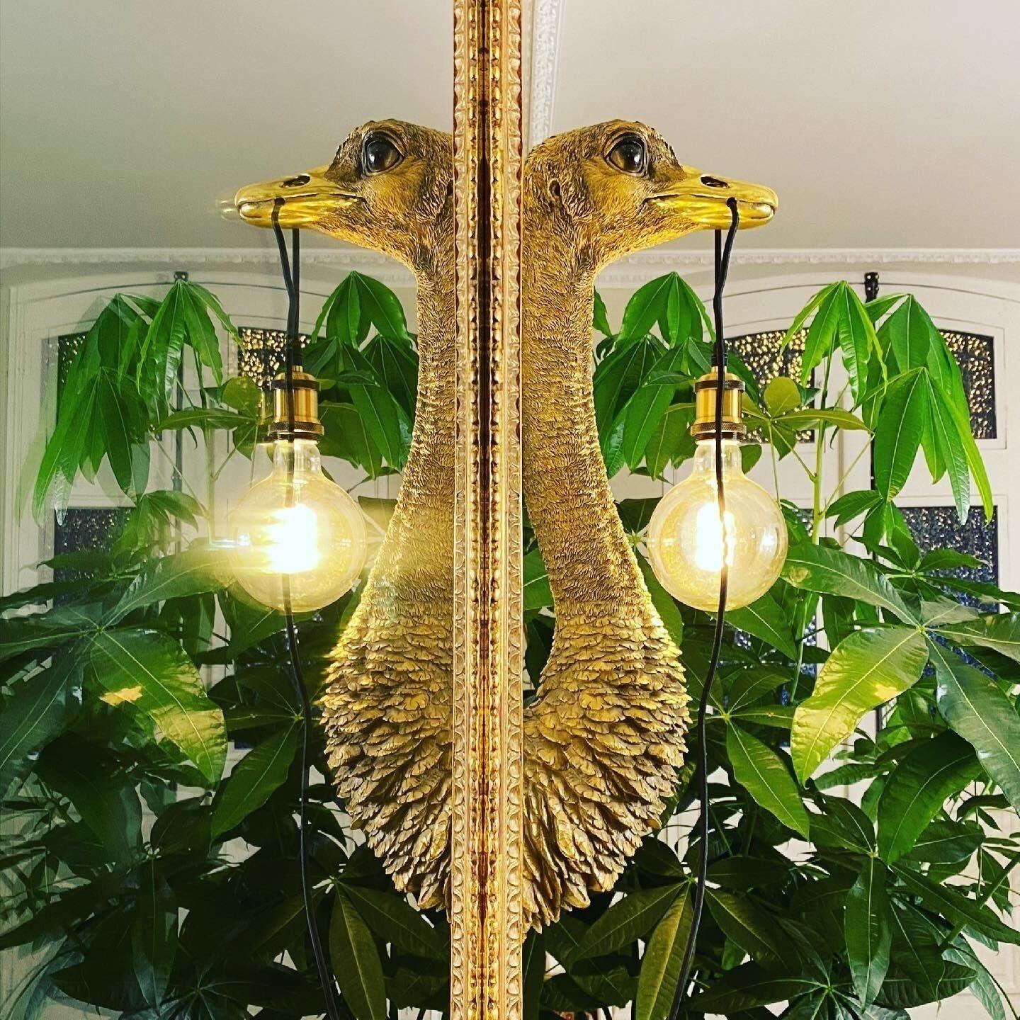 Vista Lobby Le Rez de Jardin Albi