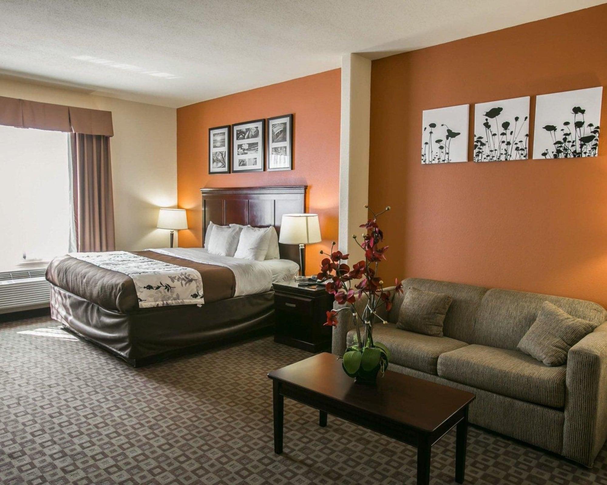 Habitación Sleep Inn & Suites Highway 290/NW Freeway