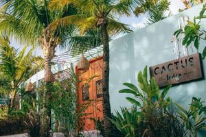 Alojamiento - Cactus Lodge Pipa