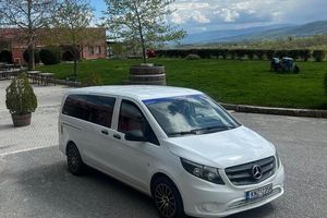 Actividad - Vergina, Naousa and Edessa - Full-Day Private Tour