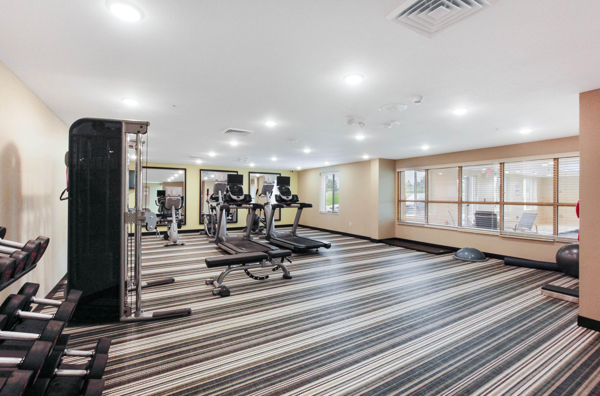 Instalaciones Recreativas Candlewood Suites Brighton by IHG
